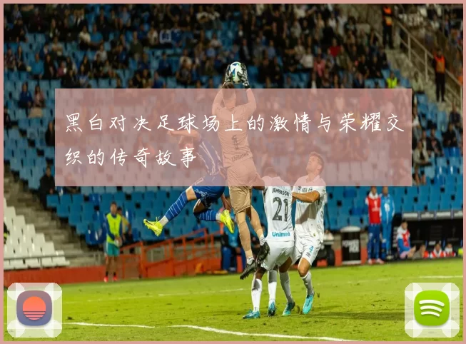 黑白对决足球场上的激情与荣耀交织的传奇故事