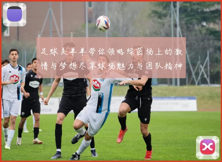 足球美羊羊带你领略绿茵场上的激情与梦想尽享球场魅力与团队精神的完美结合