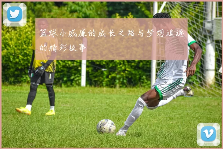 篮球小威廉的成长之路与梦想追逐的精彩故事