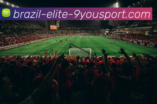 九游体育APP 封面图